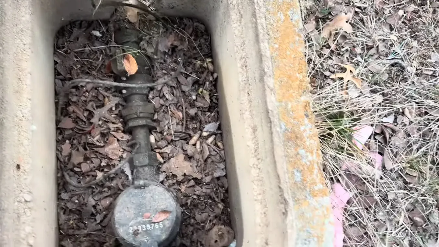 Water meter and iron valve inside an in-ground box filled with dry leaves